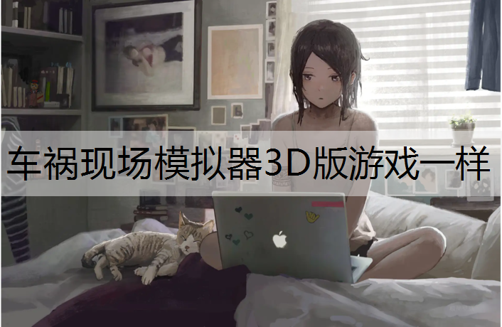 车祸现场模拟器3D版游戏一样